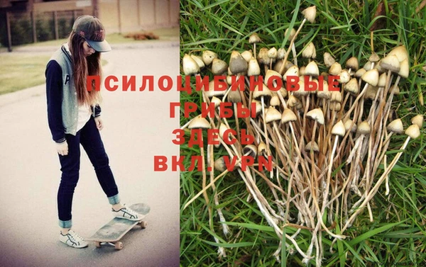 прущая мука Горняк