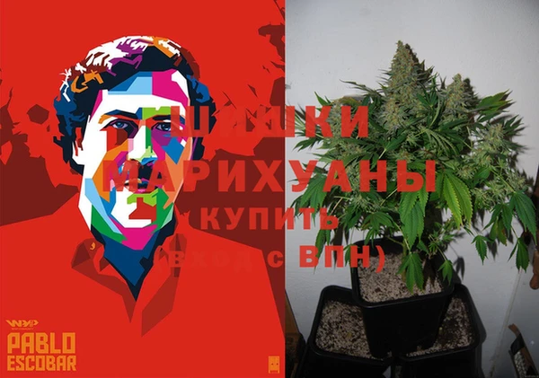 гидропоника Горнозаводск